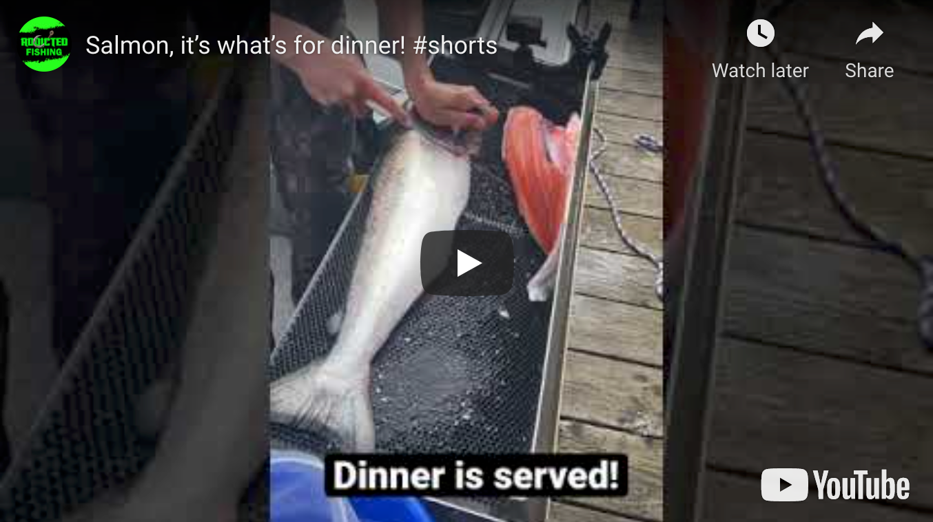 Salmon filleting without a fillet board with clamp